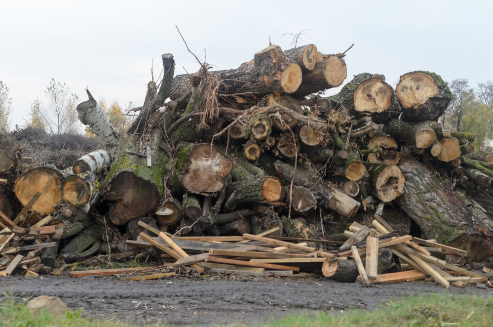 How do I Dispose of My Yard Debris? Best Yard Debris Disposal Method - 2 Steps Yard Debris Canyon View Dumpsters Ogden UT