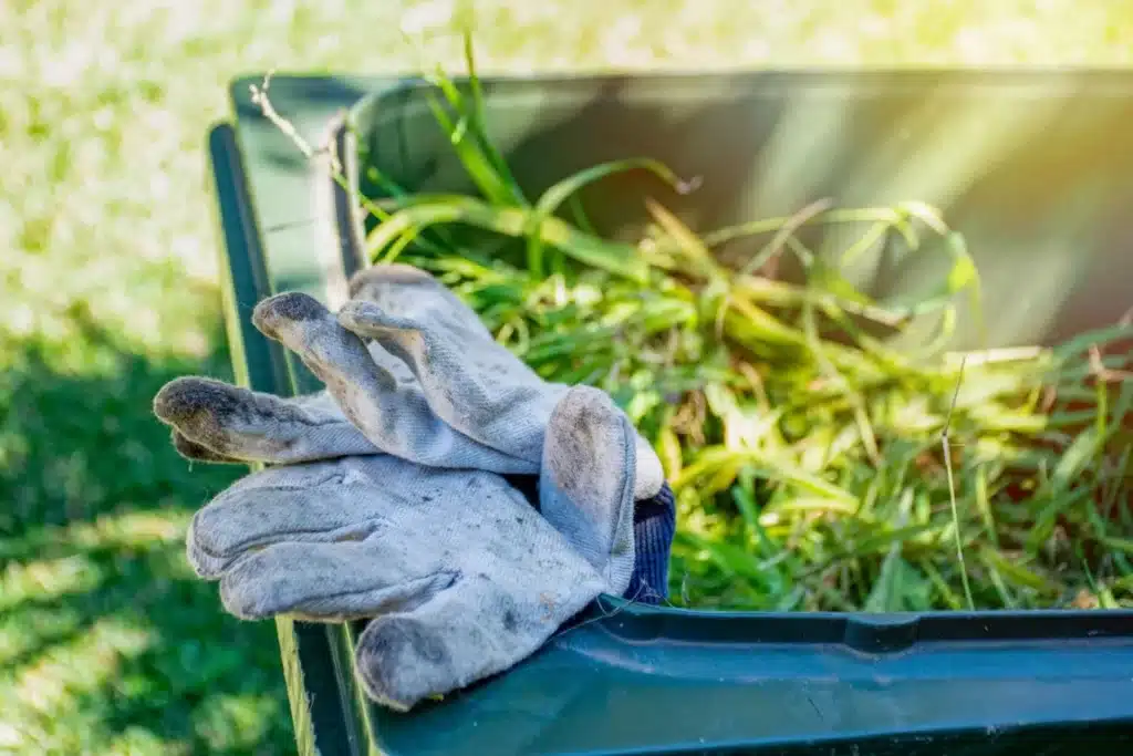 Yard cleanup in Ogden, Utah